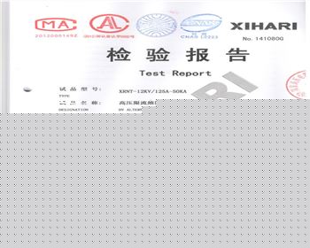 XRNT-12KV 125A-1